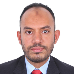 Hossam Abdelaziz, مدير مشاريع