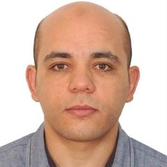 Mohammed Abd raboh Salem Younes, مدرب شبكات وبرمجيات