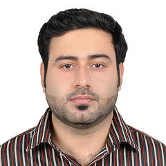 Mohammad Sadiq Raza, Civil Formwork Engineer