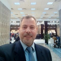 محمد صلاح محمد الصباغ, نائب المدير التنفيذى - قطاع مبيعات المعارض