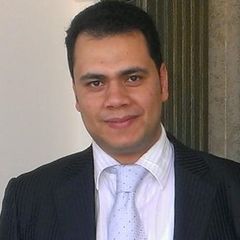 عبد الهادي الشيخ, Tender & Estimation Manager 