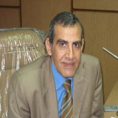 محمد إبراهيم, General Manager