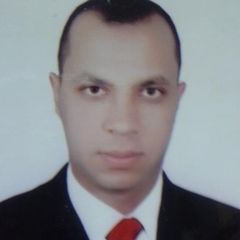 محمود سليم, Accounts Supervisor