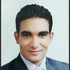 أحمد هاشم سرحان, Senior System Engineer