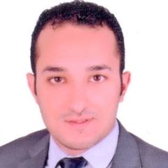Ahmed El Neklawy, Site Engineer