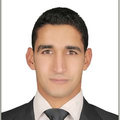 Ahmed Adel Fouad, Sales Team Leader