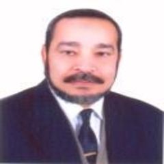   Sayyed Aly Hasaan Wafy, مدير ادارة المكتب الفنى والنماذج