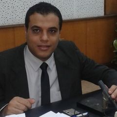 Mohamed Eldiasty, مراسل ومحرر