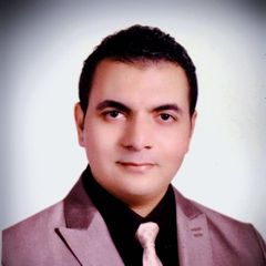 Hassan Mantawy, Senior Oracle Financial Consultant