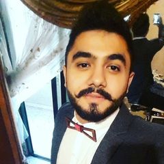 Hussein Mohamad Amhaz, Full Stack Developer