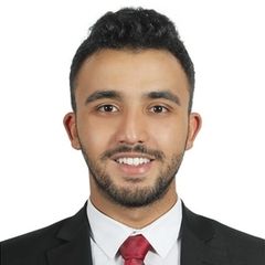 Ahmed Khaled, Investment Consultant