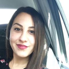 كريستين الشامية, Technical & Marketing Executive/ Product Manager