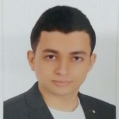 Ahmed Magdy, Accountant