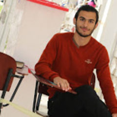 SaifEddin kraim, Web Developer