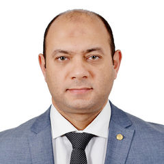 Mahmod fawzy Ali, Regional sales manager