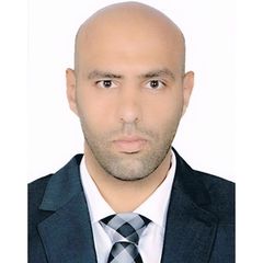 أحمد بدر الدين, Travel advisor