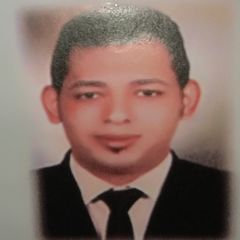 Ahmed Ali Hassib, مدير مبيعات