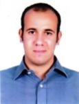 Mohamed Megahed Abd El Fatah, Workforce Specialist