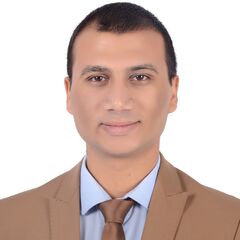 محمد abdelbary, HVAC Sales& Marketing Engineer