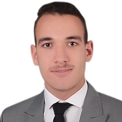 Mahmoud Gomaa, customer service and marketing executive