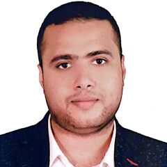 Mohamed Youssef, Software Project Manager