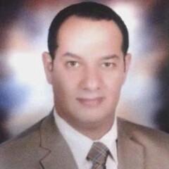 Ahmed Abd Elwahab, Sales Manager