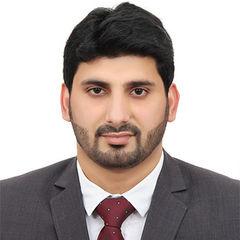 Raza Amin, Group Financial Planning & Analsyis Manager (FP&A)