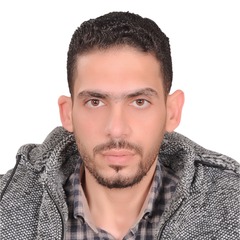 Kamal Elsharkawy, Network Administrator
