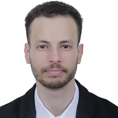 Anas Abdelmonem