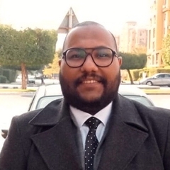 Mohamed  Abou elseoud