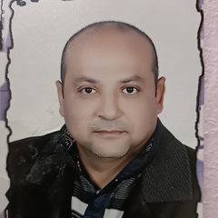 Marghany Abd-Elaziz  Shoshan, Director of Agencies