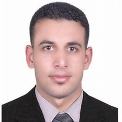 Islam Sabry Khalil Khalil Elaswakh, Nuclear Fuel Engineer