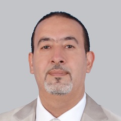 Shadi Ammourah, Real estate Consultancy Services Provider 