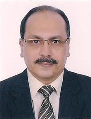 خالد محمود النعناعى, Senior legal consultant 