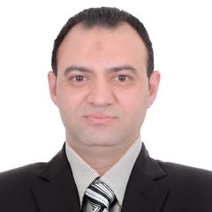 AHMED ABDELSATTAR Elzaher, Key account manager