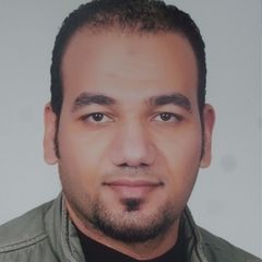 محمد علي حلمى فرج الله, محاسب