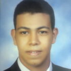 Amr Tarek Mohamed Fathy, ممثل خدمة عملاء