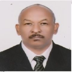 ياسر محمد احمد الطيب احمد احمد, MEP