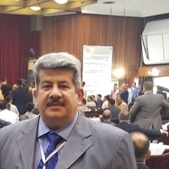 Raied Ezzat Mohamad ALMAHDAWIE, Real Estate Developer / SENIOR CONSULTANT ARCHITECT