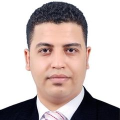 رمضان عبد الهادى, accountant 
