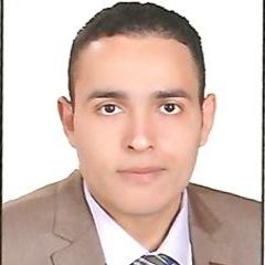 Mostafa Rabea Abd Elrahman Abdo, An Accountant