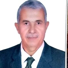 عبد العزيز محمود السيد  راضي, mep project manager