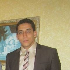 Ahmed Ali Mostafa Shalaby Ali Mostafa Shalby, Data Entry Team Leader