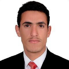 Jamil Saleh Mohammed  Ahsun AlSheikh, مطور برمجة