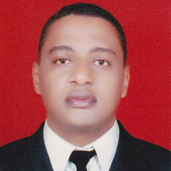 Abdu alhafize younis, استاذ جامعي