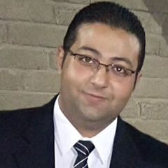 مينا ثروت, Key Accounts Executive