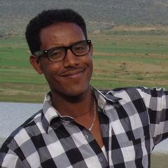 Brhane Gebremedhin Berhe, 