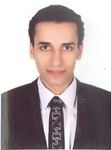 Youssef Nasr, Accountant