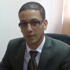 Mohamed Youssef, Call Center Operations Manager