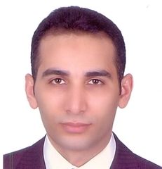 Taher Nasr, Researcher